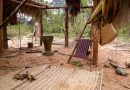 O populație indigenă din pădurea amazoniană ar putea deține cheia pentru încetinirea procesului de îmbătrânire